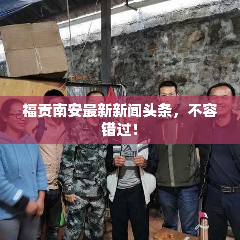 福貢南安最新新聞頭條，不容錯過！