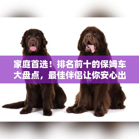 敷衍了事 第3頁