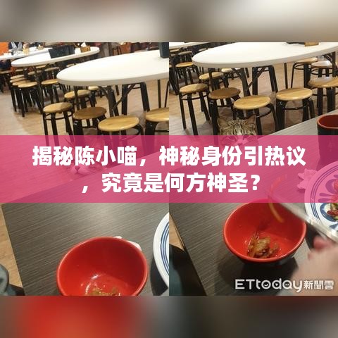 揭秘陳小喵，神秘身份引熱議，究竟是何方神圣？