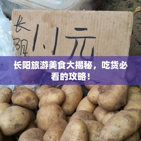 長陽旅游美食大揭秘，吃貨必看的攻略！