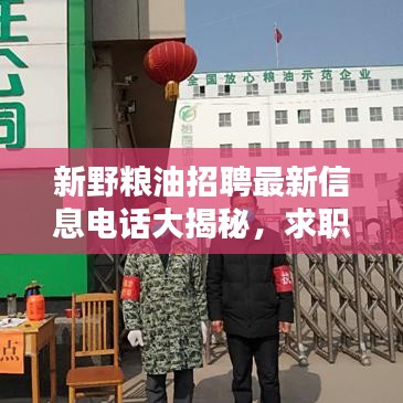 新野糧油招聘最新信息電話大揭秘，求職者福音，優(yōu)質(zhì)職位等你來挑！
