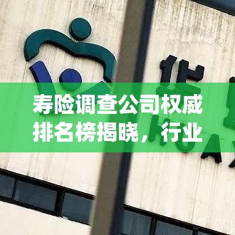 壽險(xiǎn)調(diào)查公司權(quán)威排名榜揭曉，行業(yè)格局與評(píng)估報(bào)告重磅發(fā)布！