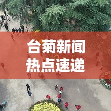 臺菊新聞熱點(diǎn)速遞，最新頭條報(bào)道搶先看！