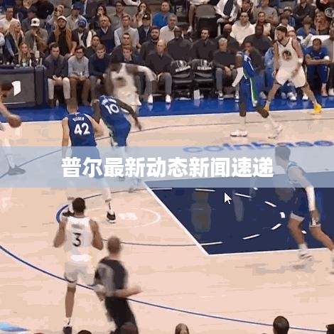 普爾最新動態(tài)新聞速遞