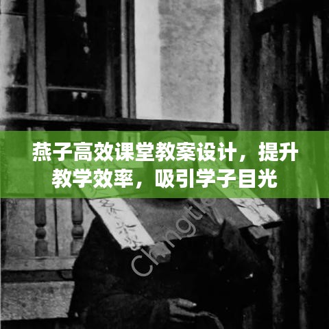 燕子高效課堂教案設(shè)計，提升教學(xué)效率，吸引學(xué)子目光