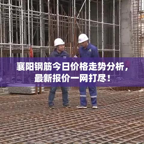 襄陽鋼筋今日價格走勢分析，最新報價一網(wǎng)打盡！