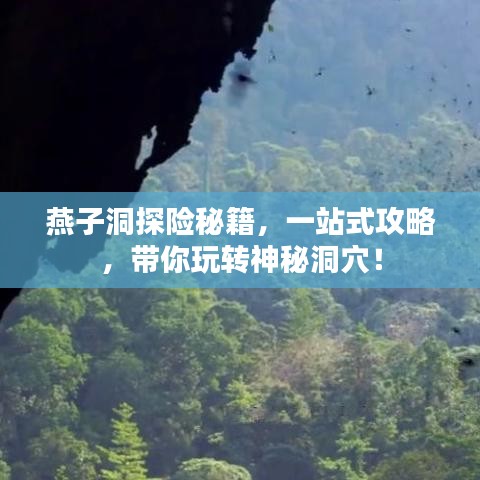 燕子洞探險(xiǎn)秘籍，一站式攻略，帶你玩轉(zhuǎn)神秘洞穴！