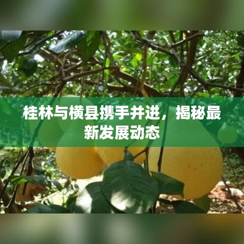 桂林與橫縣攜手并進(jìn)，揭秘最新發(fā)展動(dòng)態(tài)
