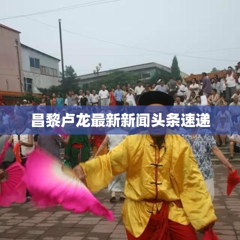 昌黎盧龍最新新聞頭條速遞