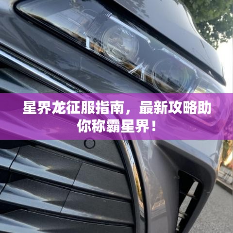 星界龍征服指南，最新攻略助你稱霸星界！