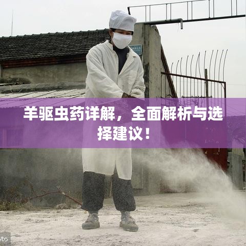 羊驅(qū)蟲(chóng)藥詳解，全面解析與選擇建議！