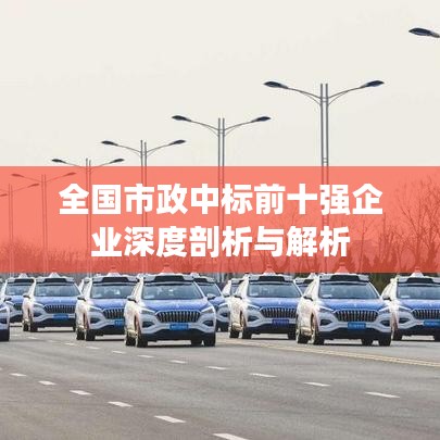 全國市政中標前十強企業(yè)深度剖析與解析