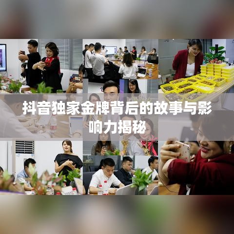 抖音獨(dú)家金牌背后的故事與影響力揭秘