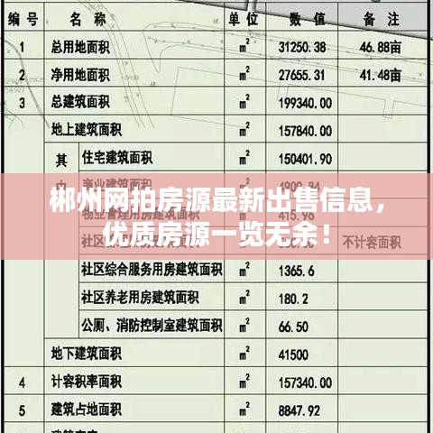 郴州網(wǎng)拍房源最新出售信息，優(yōu)質(zhì)房源一覽無余！