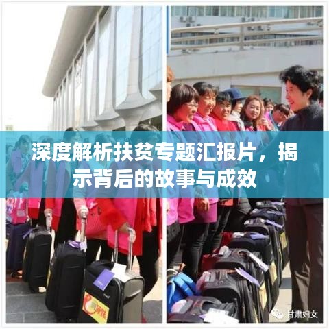 深度解析扶貧專題匯報片，揭示背后的故事與成效