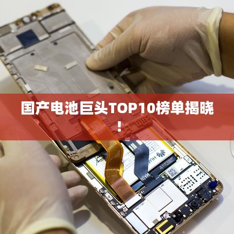 國產(chǎn)電池巨頭TOP10榜單揭曉！