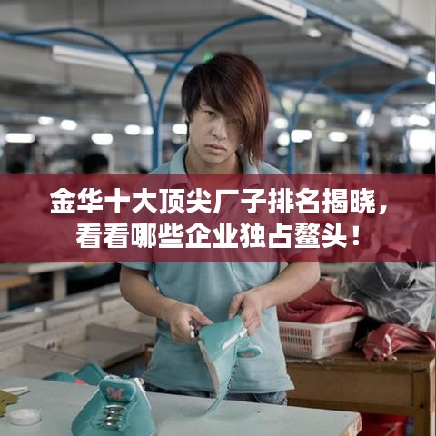 金華十大頂尖廠子排名揭曉，看看哪些企業(yè)獨(dú)占鰲頭！