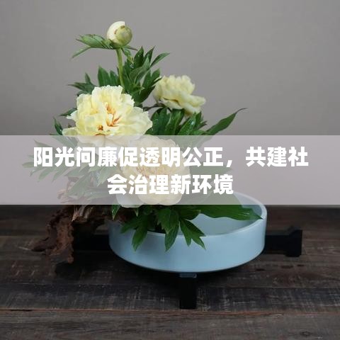 陽光問廉促透明公正，共建社會治理新環(huán)境