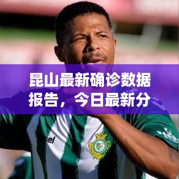 昆山最新確診數(shù)據(jù)報(bào)告，今日最新分析與解讀