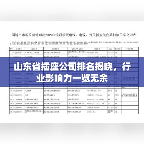 山東省插座公司排名揭曉，行業(yè)影響力一覽無余