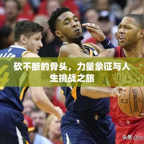 砍不斷的骨頭，力量象征與人生挑戰(zhàn)之旅