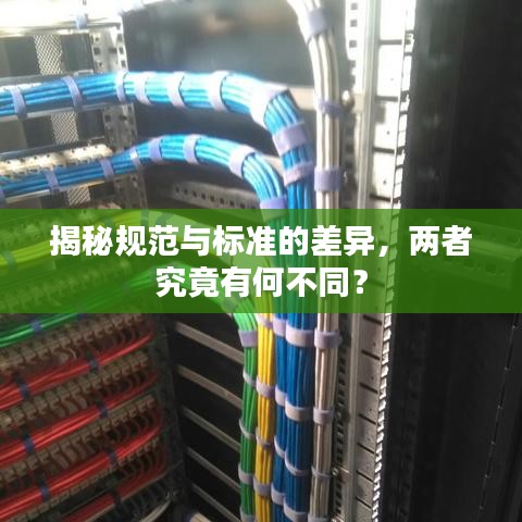 揭秘規(guī)范與標(biāo)準(zhǔn)的差異，兩者究竟有何不同？