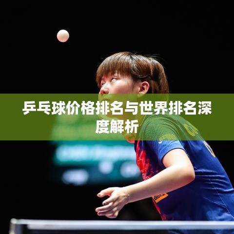 乒乓球價格排名與世界排名深度解析