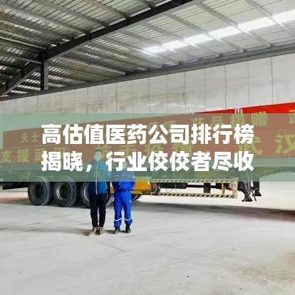 高估值醫(yī)藥公司排行榜揭曉，行業(yè)佼佼者盡收眼底！