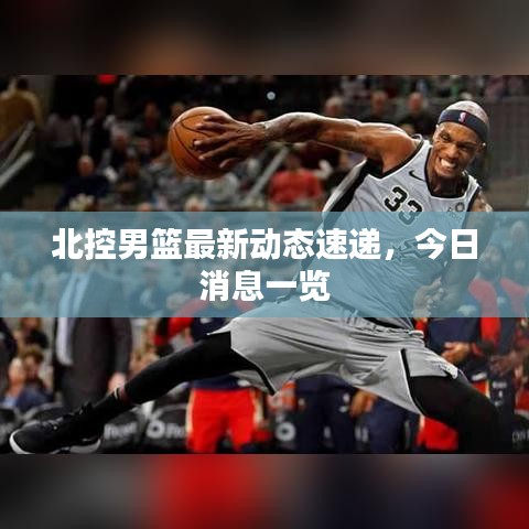 北控男籃最新動態(tài)速遞，今日消息一覽