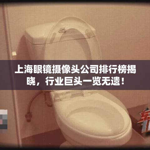 上海眼鏡攝像頭公司排行榜揭曉，行業(yè)巨頭一覽無(wú)遺！