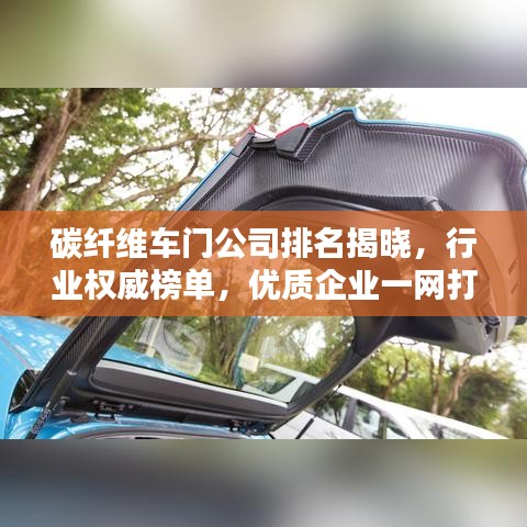 碳纖維車門公司排名揭曉，行業(yè)權(quán)威榜單，優(yōu)質(zhì)企業(yè)一網(wǎng)打盡！