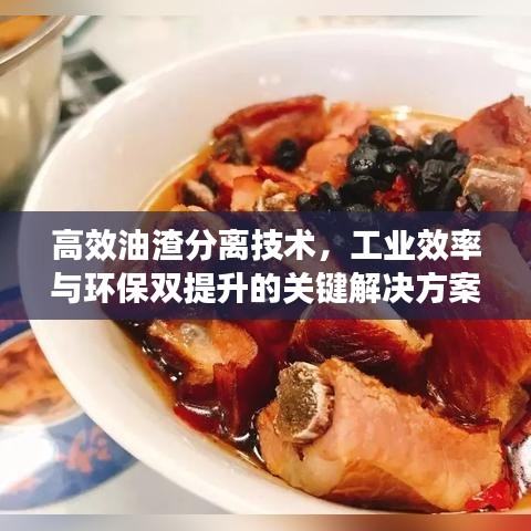 高效油渣分離技術(shù)，工業(yè)效率與環(huán)保雙提升的關(guān)鍵解決方案