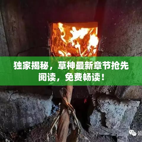 獨(dú)家揭秘，草神最新章節(jié)搶先閱讀，免費(fèi)暢讀！