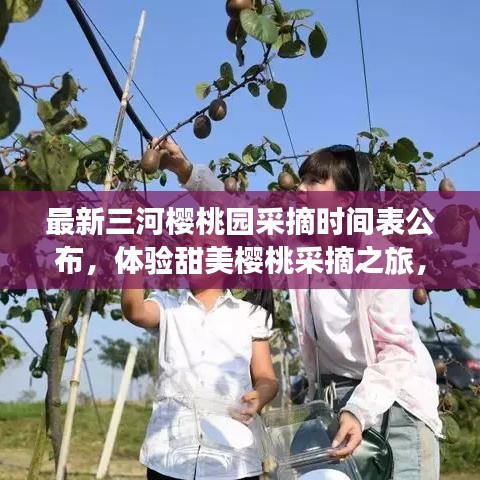 最新三河櫻桃園采摘時間表公布，體驗(yàn)甜美櫻桃采摘之旅，盡享自然盛宴！
