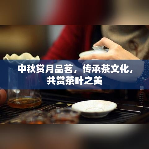 中秋賞月品茗，傳承茶文化，共賞茶葉之美
