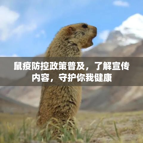 鼠疫防控政策普及，了解宣傳內(nèi)容，守護(hù)你我健康