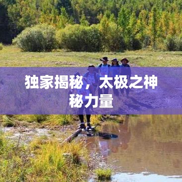 獨家揭秘，太極之神秘力量