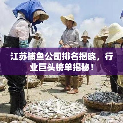 江蘇捕魚公司排名揭曉，行業(yè)巨頭榜單揭秘！