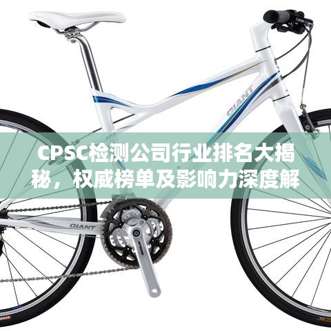 CPSC檢測(cè)公司行業(yè)排名大揭秘，權(quán)威榜單及影響力深度解析