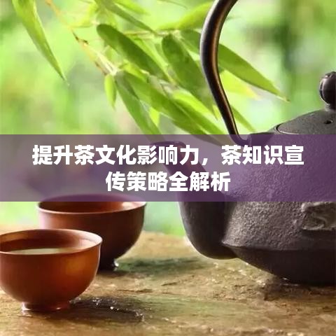 提升茶文化影響力，茶知識宣傳策略全解析