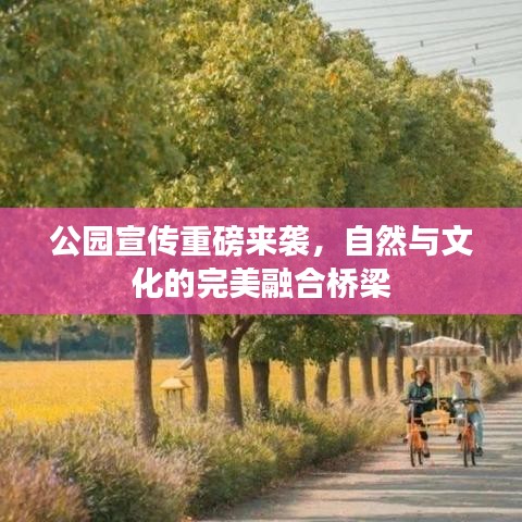 公園宣傳重磅來襲，自然與文化的完美融合橋梁