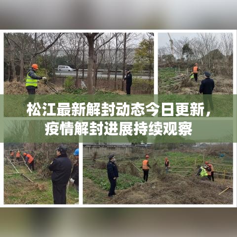 松江最新解封動態(tài)今日更新，疫情解封進(jìn)展持續(xù)觀察