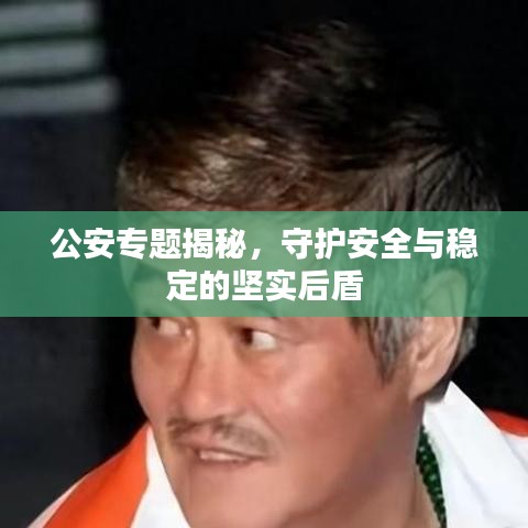 公安專題揭秘，守護(hù)安全與穩(wěn)定的堅(jiān)實(shí)后盾