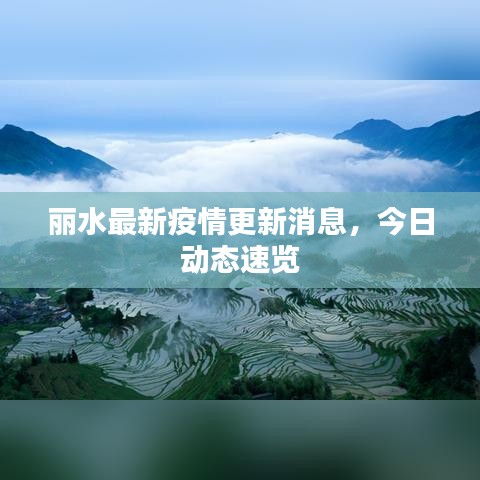 麗水最新疫情更新消息，今日動(dòng)態(tài)速覽