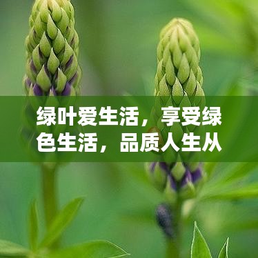 綠葉愛生活，享受綠色生活，品質(zhì)人生從這里開始！