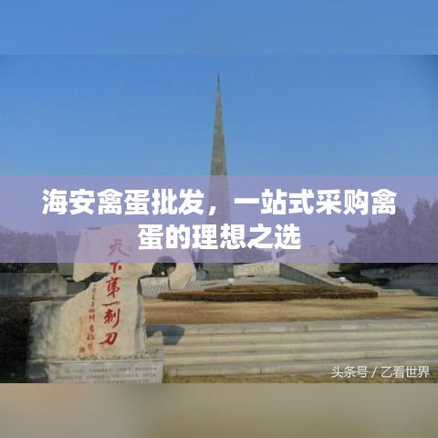 海安禽蛋批發(fā)，一站式采購禽蛋的理想之選