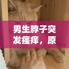 男生脖子突發(fā)瘙癢，原因解析、處理方法與預(yù)防策略