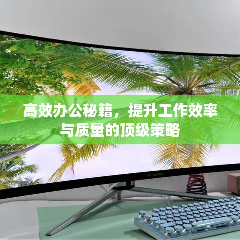 高效辦公秘籍，提升工作效率與質(zhì)量的頂級策略