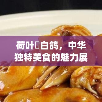 荷葉焗白鴿，中華獨特美食的魅力展現