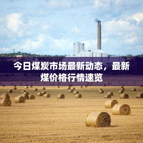 今日煤炭市場(chǎng)最新動(dòng)態(tài)，最新煤價(jià)格行情速覽